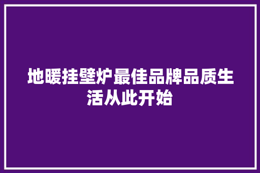 地暖挂壁炉最佳品牌品质生活从此开始 旧房改造 地暖挂壁炉最佳品牌品质生活从此开始 旧房改造