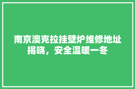 南京澳克拉挂壁炉维修地址揭晓，安全温暖一冬 家居维修