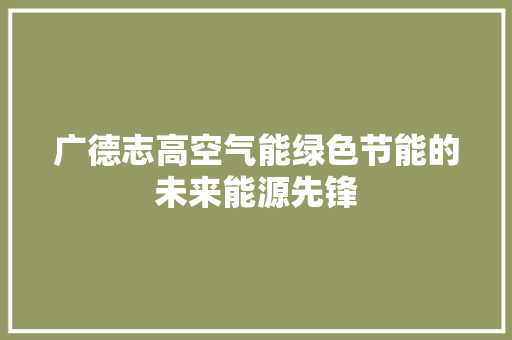 广德志高空气能绿色节能的未来能源先锋 热水器
