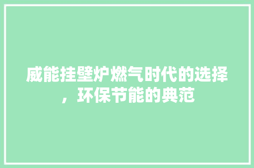 威能挂壁炉燃气时代的选择，环保节能的典范 局部翻新