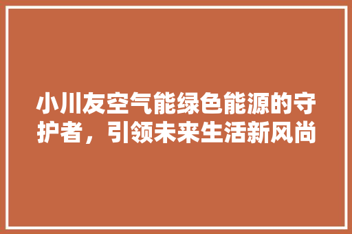 小川友空气能绿色能源的守护者，引领未来生活新风尚 家居维修