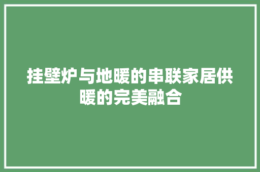 挂壁炉与地暖的串联家居供暖的完美融合 家电维护