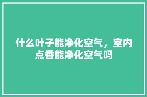 什么叶子能净化空气，室内点香能净化空气吗 热水器