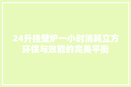 24升挂壁炉一小时消耗立方环保与效能的完美平衡 清洁保养