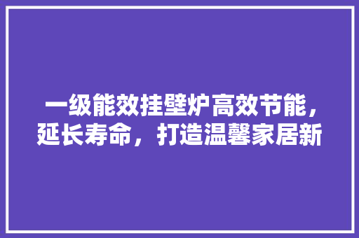 一级能效挂壁炉高效节能，延长寿命，打造温馨家居新选择 灯具安装