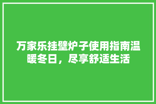 万家乐挂壁炉子使用指南温暖冬日，尽享舒适生活 装修设计
