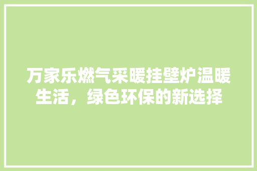 万家乐燃气采暖挂壁炉温暖生活，绿色环保的新选择 家具修理