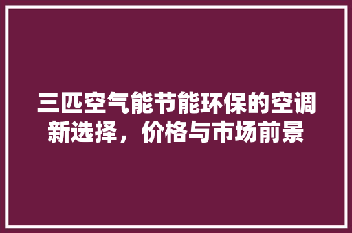 三匹空气能节能环保的空调新选择，价格与市场前景 旧房改造