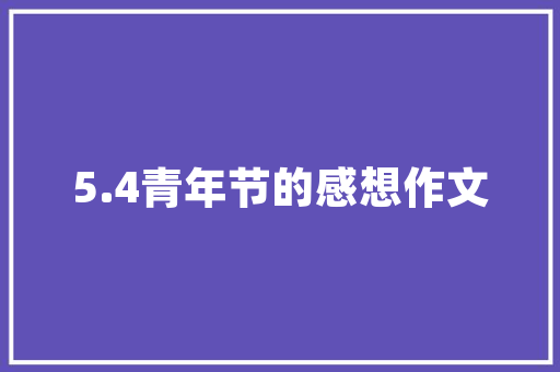 八喜挂壁炉点火三通阀响之谜技术与安全防范 清洁保养