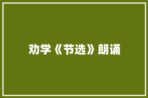 打造温馨书房中间壁炉两侧挂壁书架的安装艺术 水电维修