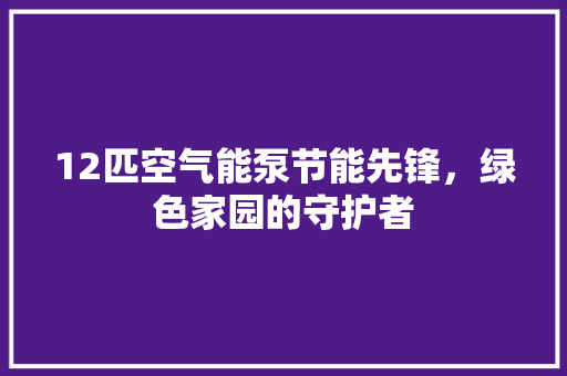 12匹空气能泵节能先锋，绿色家园的守护者 贴膜