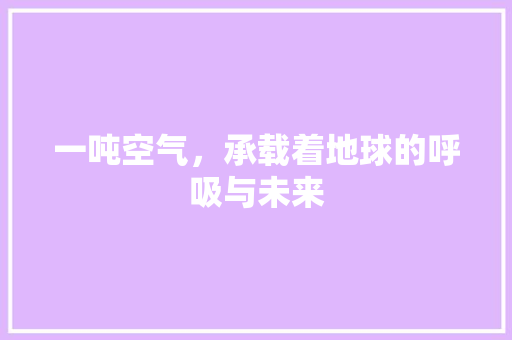 一吨空气，承载着地球的呼吸与未来 家居维修