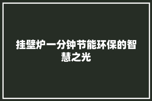 挂壁炉一分钟节能环保的智慧之光 清洁保养