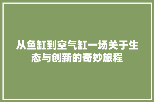 从鱼缸到空气缸一场关于生态与创新的奇妙旅程 旧房改造
