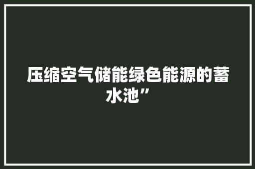 压缩空气储能绿色能源的蓄水池” 家具修理