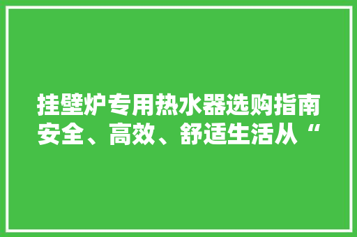 挂壁炉专用热水器选购指南安全、高效、舒适生活从“芯”开始 洗衣机