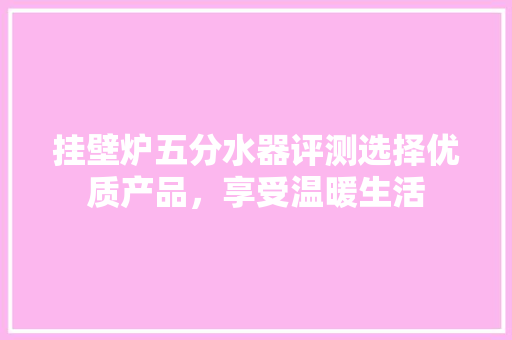 挂壁炉五分水器评测选择优质产品，享受温暖生活 洗衣机