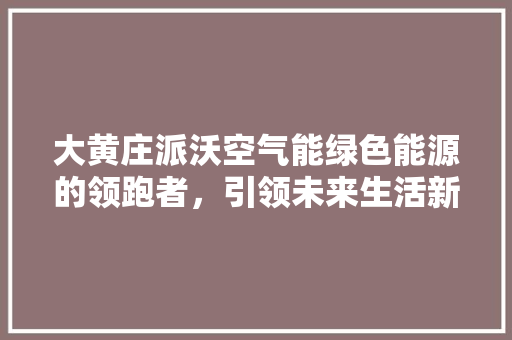 大黄庄派沃空气能绿色能源的领跑者，引领未来生活新风尚 家居维修