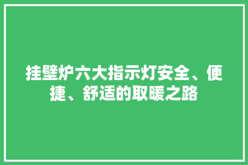 挂壁炉六大指示灯安全、便捷、舒适的取暖之路 清洁保养
