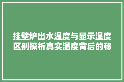 挂壁炉出水温度与显示温度区别探析真实温度背后的秘密 装修设计