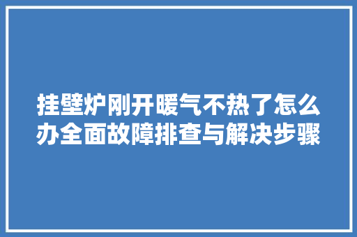 挂壁炉刚开暖气不热了怎么办全面故障排查与解决步骤 清洁保养