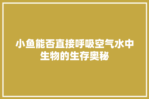 小鱼能否直接呼吸空气水中生物的生存奥秘 家具修理