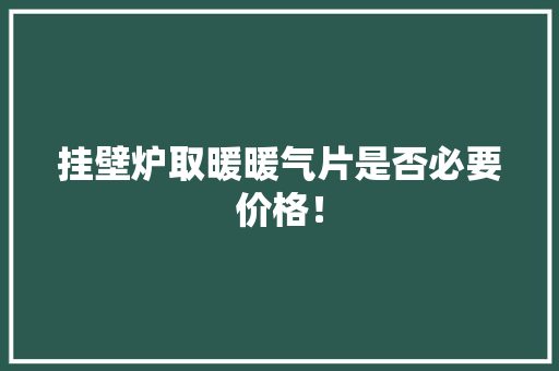 挂壁炉取暖暖气片是否必要价格！ 热水器