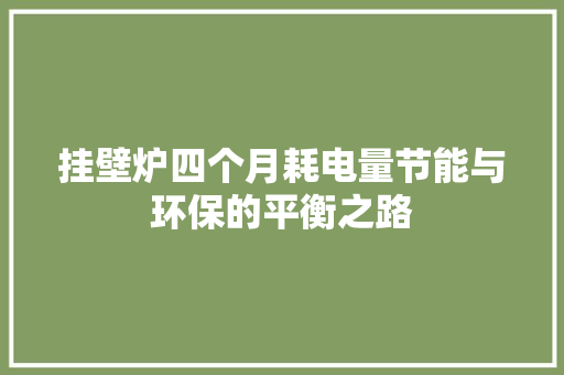 挂壁炉四个月耗电量节能与环保的平衡之路 旧房改造