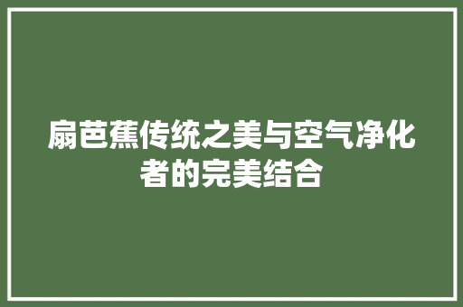 扇芭蕉传统之美与空气净化者的完美结合 洗衣机