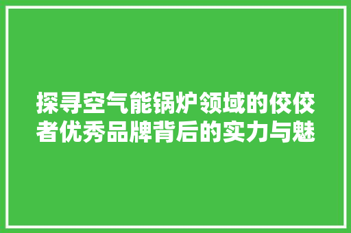 探寻空气能锅炉领域的佼佼者优秀品牌背后的实力与魅力 龙头管件