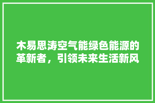 木易思涛空气能绿色能源的革新者，引领未来生活新风尚 局部翻新