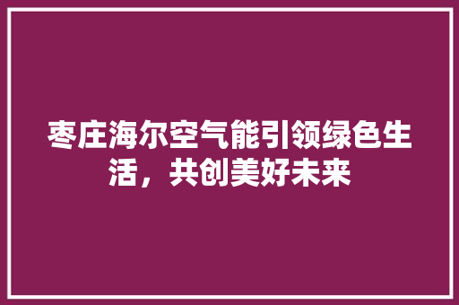 枣庄海尔空气能引领绿色生活，共创美好未来 家电维护