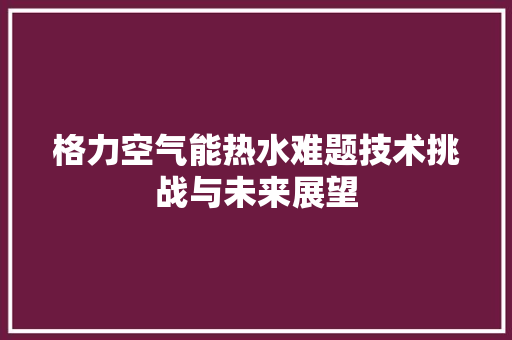 格力空气能热水难题技术挑战与未来展望 热水器
