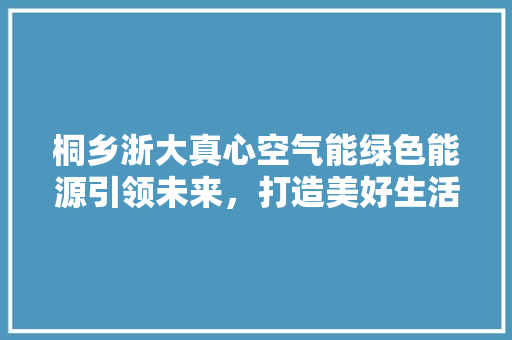 桐乡浙大真心空气能绿色能源引领未来，打造美好生活新篇章 洗衣机