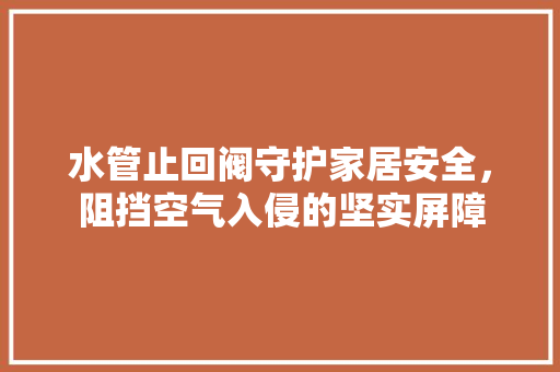 水管止回阀守护家居安全，阻挡空气入侵的坚实屏障 旧房改造