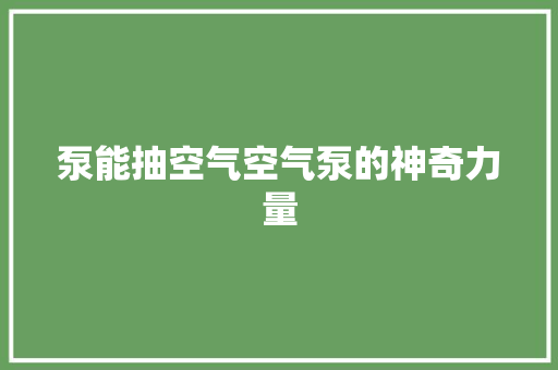 泵能抽空气空气泵的神奇力量 旧房改造