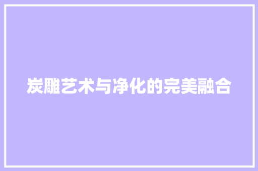 炭雕艺术与净化的完美融合 热水器