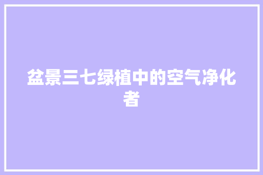 盆景三七绿植中的空气净化者 空调
