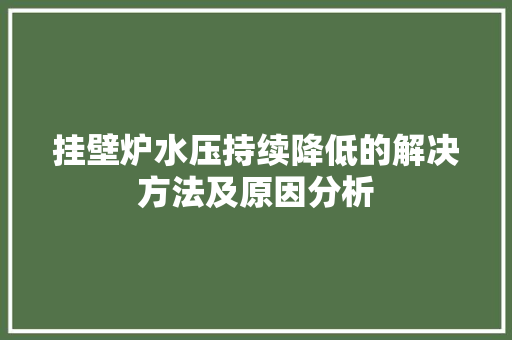 挂壁炉水压持续降低的解决方法及原因分析 冰箱