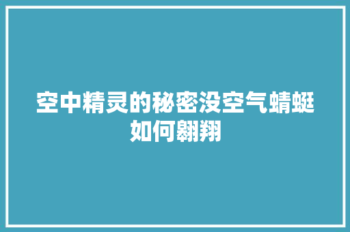 空中精灵的秘密没空气蜻蜓如何翱翔 洁具维修