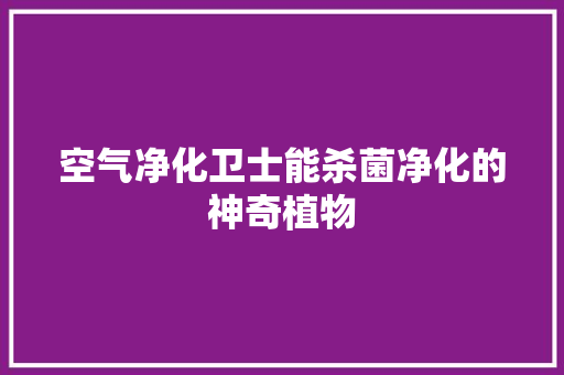 空气净化卫士能杀菌净化的神奇植物 洗衣机