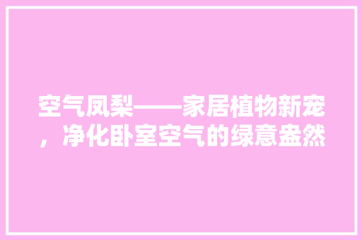 空气凤梨——家居植物新宠,净化卧室空气的绿意盎然之选 洁具维修 空气凤梨——家居植物新宠,净化卧室空气的绿意盎然之选 洁具维修