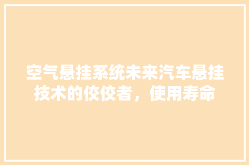 空气悬挂系统未来汽车悬挂技术的佼佼者，使用寿命 家电维护