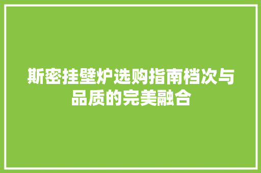 斯密挂壁炉选购指南档次与品质的完美融合 洗衣机