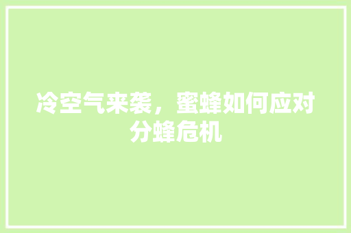 冷空气来袭，蜜蜂如何应对分蜂危机 家居维修