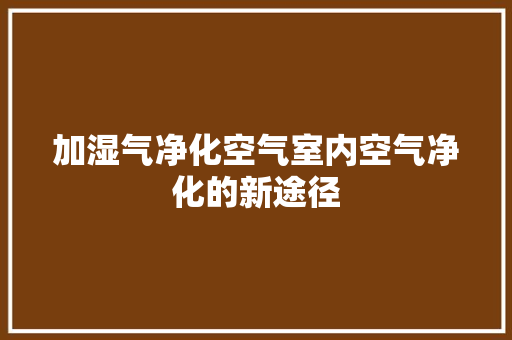 加湿气净化空气室内空气净化的新途径 清洁保养