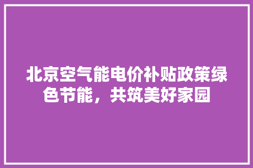 北京空气能电价补贴政策绿色节能，共筑美好家园 洗衣机