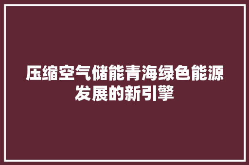 压缩空气储能青海绿色能源发展的新引擎 清洁保养