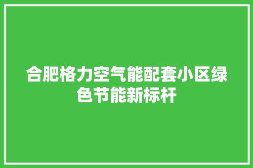 合肥格力空气能配套小区绿色节能新标杆 洗衣机
