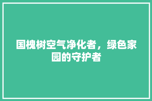 国槐树空气净化者，绿色家园的守护者 清洁保养
